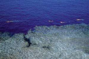 misir/guney-sina/sharm-el-sheikh/dreams-beach-resort-sharm-el-sheikh_37f37782.jpg