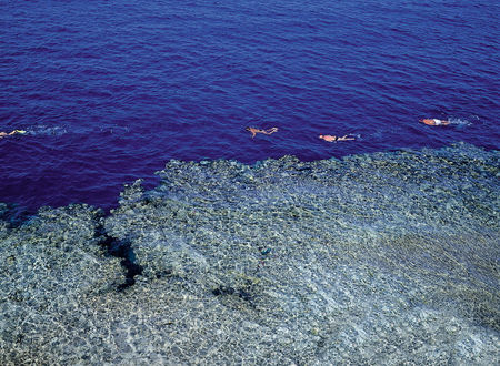 misir/guney-sina/sharm-el-sheikh/dreams-beach-resort-sharm-el-sheikh_37f37782.jpg