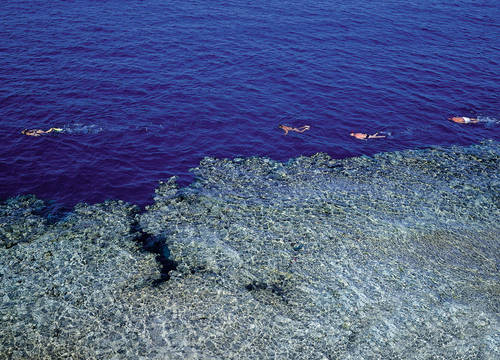 misir/guney-sina/sharm-el-sheikh/dreams-beach-resort-sharm-el-sheikh_37f37782.jpg