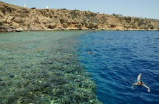 misir/guney-sina/sharm-el-sheikh/dreams-beach-resort-sharm-el-sheikh_e13e30f9.jpg