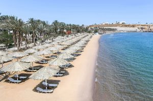 misir/guney-sina/sharm-el-sheikh/iberotel-palace-adults-only-16_1bb633d2.jpg