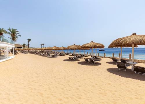 misir/guney-sina/sharm-el-sheikh/meraki-resort-adults-only-16-sharm-el-sheikh_923903fa.jpg