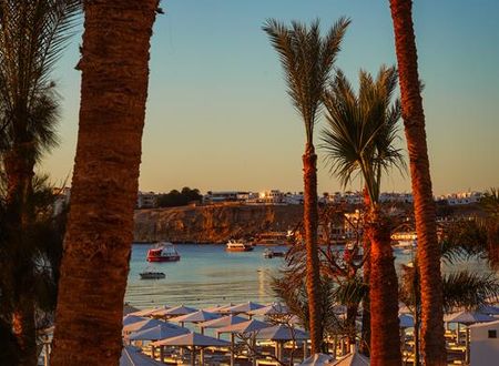 misir/guney-sina/sharm-el-sheikh/novotel-sharm-el-sheikh_59fa92f8.jpg