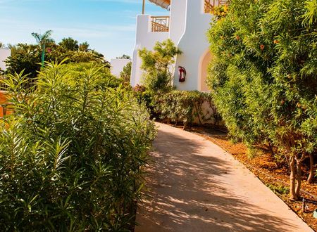 misir/guney-sina/sharm-el-sheikh/novotel-sharm-el-sheikh_8f94e769.jpg