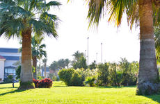 misir/guney-sina/sharm-el-sheikh/parrotel-beach-resort_47423d8b.jpg