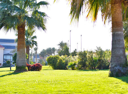 misir/guney-sina/sharm-el-sheikh/parrotel-beach-resort_47423d8b.jpg