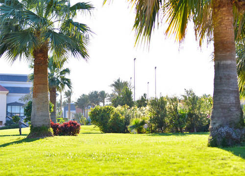 misir/guney-sina/sharm-el-sheikh/parrotel-beach-resort_47423d8b.jpg