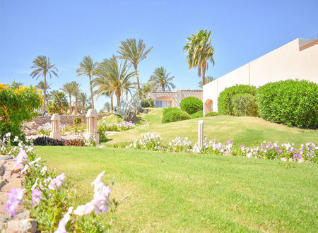misir/guney-sina/sharm-el-sheikh/parrotel-beach-resort_ab0b1f7e.jpg
