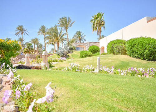 misir/guney-sina/sharm-el-sheikh/parrotel-beach-resort_ab0b1f7e.jpg