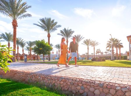 misir/guney-sina/sharm-el-sheikh/pickalbatros-aqua-blu-resort-sharm-el-sheikh_405e787e.png