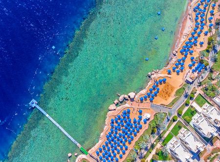 misir/guney-sina/sharm-el-sheikh/pickalbatros-royal-grand-resort-sharm-el-sheikh_b1785673.png