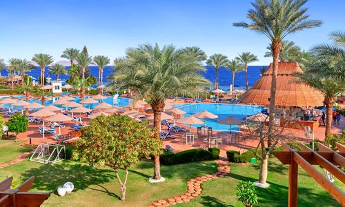 misir/guney-sina/sharm-el-sheikh/pickalbatros-royal-grand-resort-sharm-el-sheikh_cbb13039.png