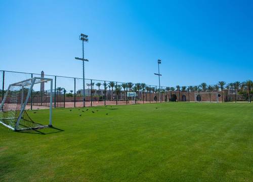 misir/guney-sina/sharm-el-sheikh/reef-oasis-beach-resort_3764367b.jpg
