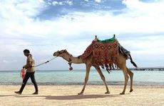 misir/guney-sina/sharm-el-sheikh/regency-plaza-aqua-park-spa_8437e0d7.jpg