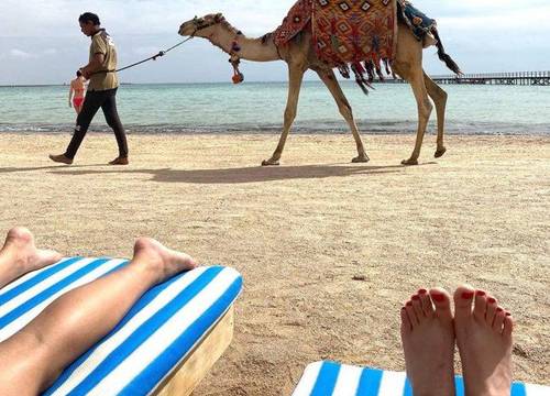 misir/guney-sina/sharm-el-sheikh/regency-plaza-aqua-park-spa_8437e0d7.jpg