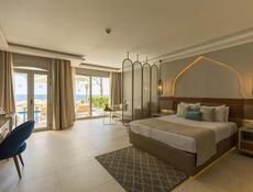 Junior Swim Up Suite - Posh Club
