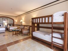 Family Room Bunk Bed