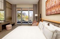 Deluxe Suite Park View