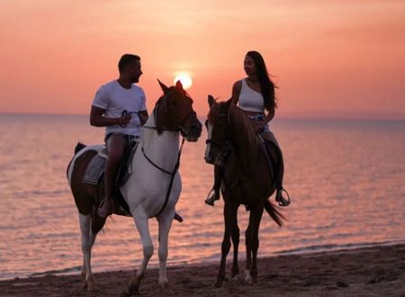 misir/kizildeniz/el-gouna/mosaique-hotel-el-gouna_16f8e152.jpg
