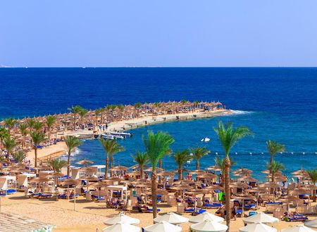 misir/kizildeniz/hurgada/beach-albatros-resort-hurgada_8a8cef22.png
