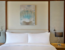 Guest Accessible Room