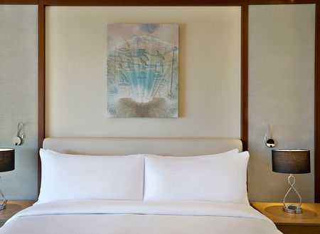 misir/kizildeniz/hurgada/hilton-hurghada-plaza_586988c1.jpg