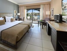 Superior Twin Bed Pool View
