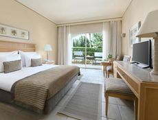 Superior Queen or Twin Bed Garden View