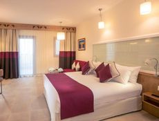 Superior Double Room with Pool View