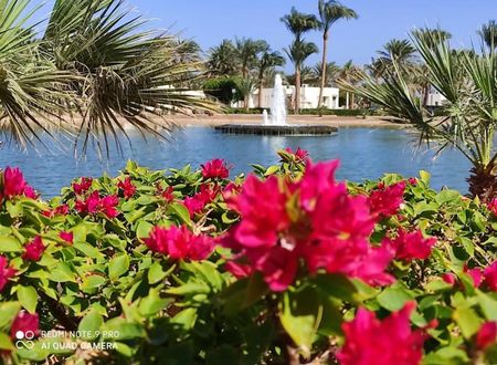 misir/kizildeniz/hurgada/pharaoh-azur-resort_55230bf4.jpg