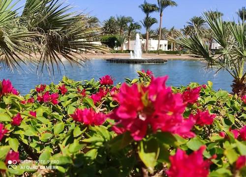 misir/kizildeniz/hurgada/pharaoh-azur-resort_55230bf4.jpg