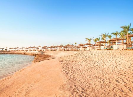 misir/kizildeniz/hurgada/pickalbatros-aqua-blu-resort-hurghada_ef57458a.png