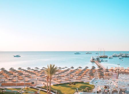 misir/kizildeniz/hurgada/pickalbatros-white-beach-resort-hurghada_80dc2c4c.png