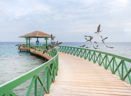 misir/kizildeniz/hurgada/the-oberoi-beach-resort-sahl-hasheesh_1d03fe00.jpg