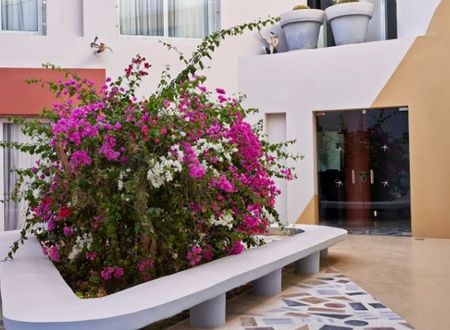 misir/kizildeniz/hurgada/turtles-inn-hotel_eae71183.jpg