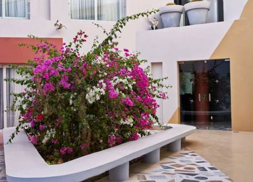 misir/kizildeniz/hurgada/turtles-inn-hotel_eae71183.jpg