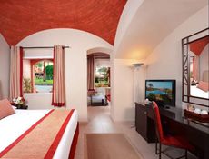 Superior Queen or Twin Bed Garden View