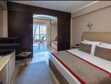 Family Queen or Twin Bed Garden View