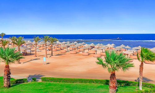 misir/kizildeniz/marsa-alam/pickalbatros-oasis-hotel-port-ghalib_065a8fa5.png