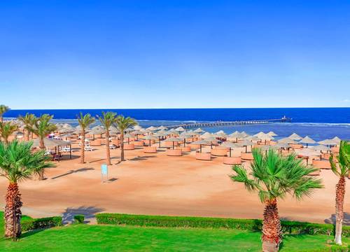 misir/kizildeniz/marsa-alam/pickalbatros-oasis-hotel-port-ghalib_065a8fa5.png