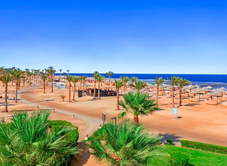 misir/kizildeniz/marsa-alam/pickalbatros-oasis-hotel-port-ghalib_dbcfc79a.png