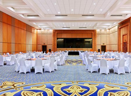 misir/kizildeniz/marsa-alam/pickalbatros-palace-hotel-port-ghalib_0140187d.png