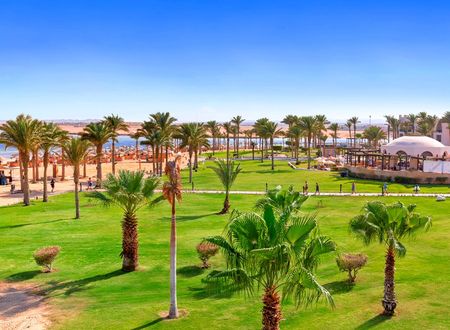 misir/kizildeniz/marsa-alam/pickalbatros-palace-hotel-port-ghalib_691c822f.png