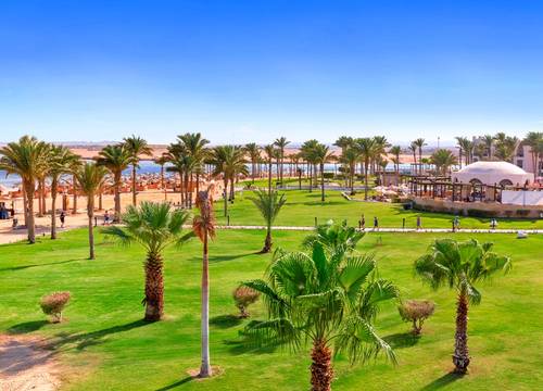 misir/kizildeniz/marsa-alam/pickalbatros-palace-hotel-port-ghalib_691c822f.png