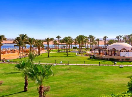 misir/kizildeniz/marsa-alam/pickalbatros-palace-hotel-port-ghalib_cce8fe98.png