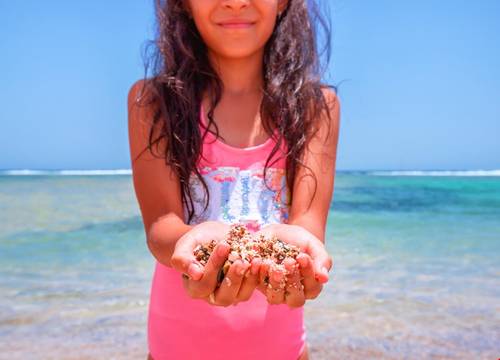 misir/kizildeniz/marsa-alam/pickalbatros-sea-world-resort-marsa-alam_229f0b14.png