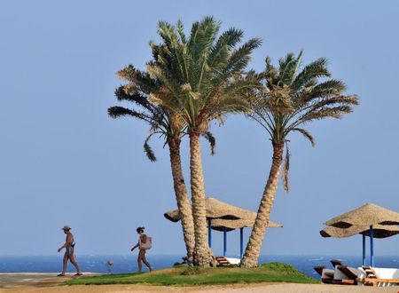 misir/kizildeniz/marsa-alam/solymar-reef-marsa_a8e4f3fe.jpg