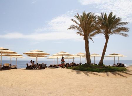 misir/kizildeniz/marsa-alam/solymar-reef-marsa_c9c6c8a9.jpg