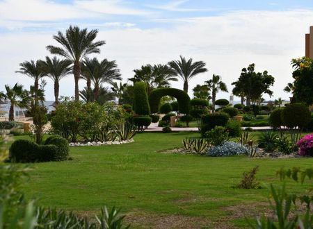 misir/kizildeniz/marsa-alam/wadi-lahmy-azur-resort_53b47c77.jpg