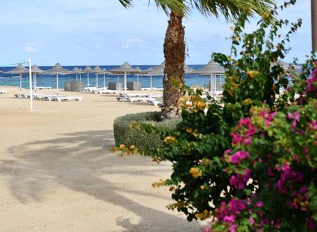 misir/kizildeniz/marsa-alam/wadi-lahmy-azur-resort_7093044b.jpg